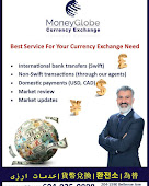 Money Globe Financial Group